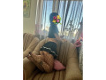 484510_preview